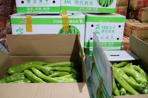 刘店镇农产品营销中心正式揭牌 打通初级农产品销售“最后一公里”