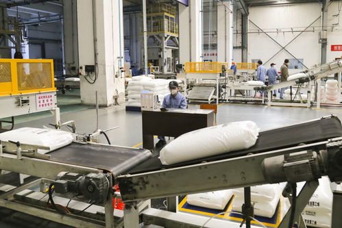 从口罩生产线到田间地头 为何供应链的快速反应未能缓解初级农产品销售困境