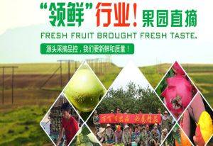 广西百百阳商贸与本公司签订网站建设协议，共同推进初级农产品销售数字化转型