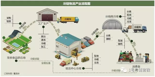 探析我国农产品冷链物流保鲜的痛点与农产品销售的困局