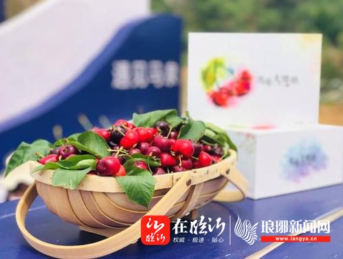 立足特色抓优势，产业带动促发展——临沂乡村振兴典型案例三十一 沂南县马泉樱桃特色小镇