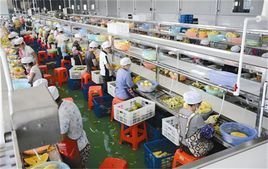 农产品深加工 从初级销售到价值链升级的转型之路