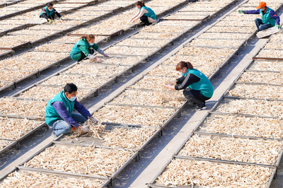 成县 多元产业绘就乡村“丰收景”，初级农产品销售焕发新活力